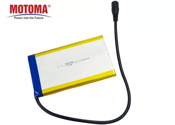 Batterie au lithium médicale élevée de la capacité 11000mah avec la basse décharge spontanée